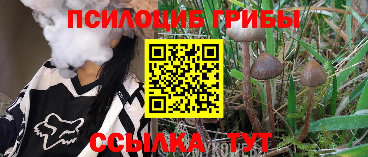 Галлюциногенные грибы Magic Shrooms Усть-Кут